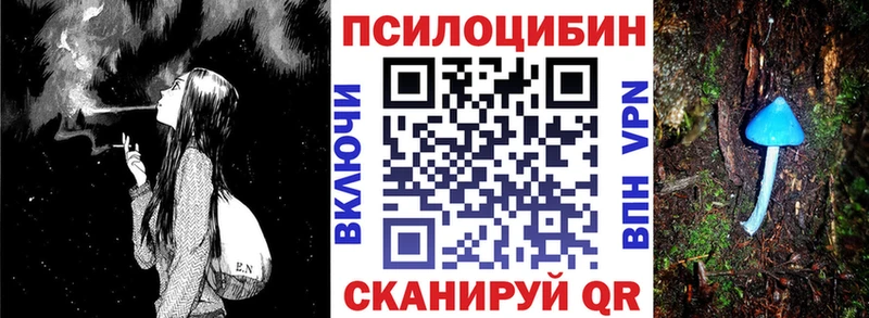 Псилоцибиновые грибы Psilocybe  Нытва 